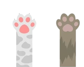 Cat Hand