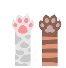 cathand2