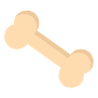 Bone