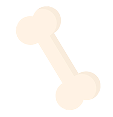 Bone