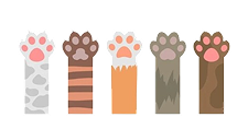 Paw