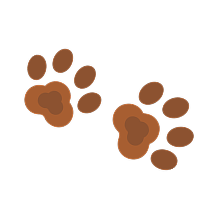 Catdog