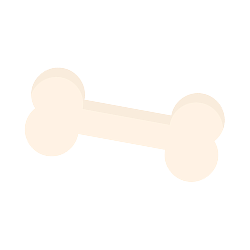 bone