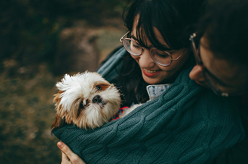 Dog Needs 3